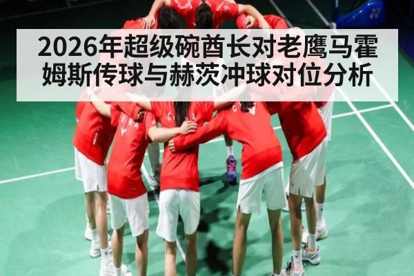 2026年超级碗酋长对老鹰马霍姆斯传球与赫茨冲球对位分析